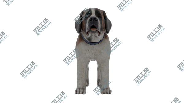 images/goods_img/20210312/3D model Sumo The Dog(1)/3.jpg